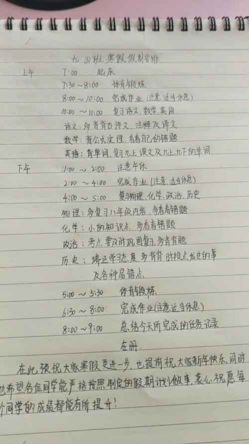 我的冬季度假计划_400字