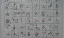 寒假计划作文_450字