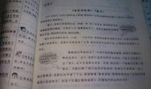 猴王出世缩写_300字