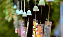 命运的风铃_550字