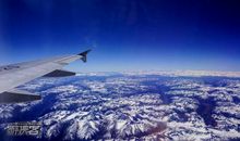 向着阳光，向着西藏_1000字