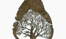 生命的轮回_1000字