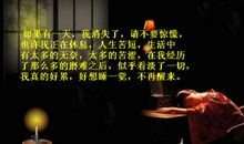 长大后我将成为你_350字