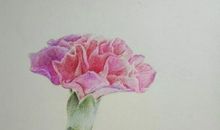 献给母亲的爱_550字