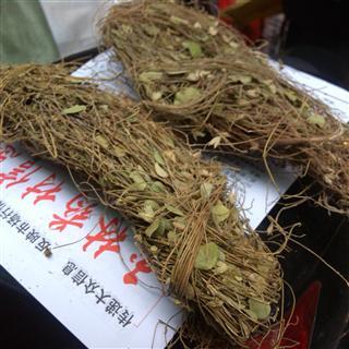 化石传说