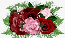 骄傲的玫瑰花_650字