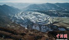 漫步雪景自陶醉_1200字