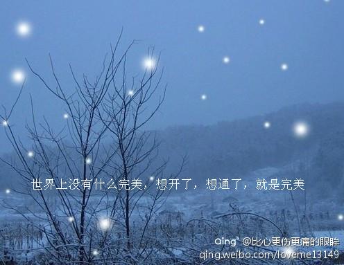 泪水和雪交叉_650字