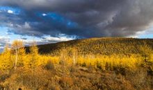 有一缕阳光照在心头_1000字