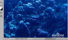 观察与感悟——观《美人鱼》有感_500字