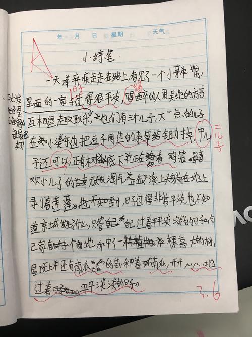 四年级写道：Niki弟弟（3）_300字