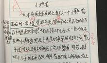 四年级写人作文：调皮的弟弟（三）_300字