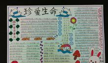 2009年中考优秀作文素材：热爱生活，珍惜生命