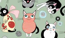 猫和兔的对话_700字