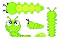 我是一只毛毛虫_800字