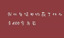 爸爸简介_600字