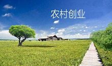 信念铸就成功_900字