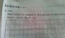 初一想象作文：假如我有一只尼尔斯鹅_800字
