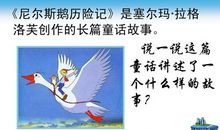 初一想象作文：假如我有一只尼尔斯鹅（三）_800字