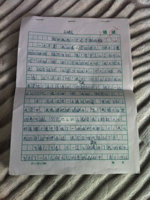 第一个想象力组成：如果我有尼尔斯鹅（四）_800字