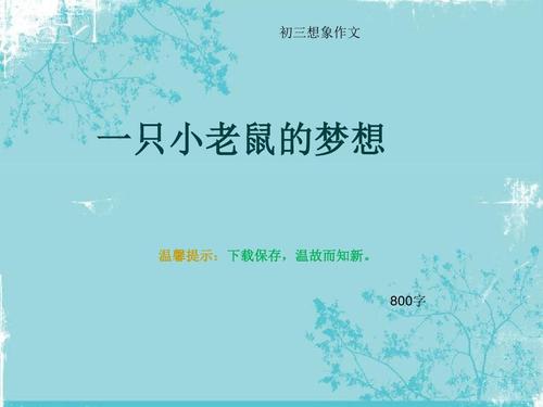 第一个想象力组成：篮球的白色500个字