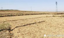 关于干旱的作文：救救哭泣的凯江河_900字