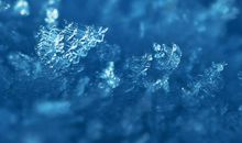 最美的风景_1200字