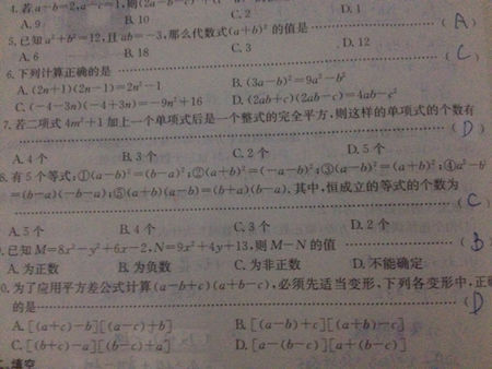 白源公立中文表第七