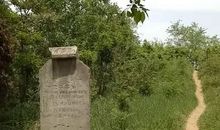 隽疏于薛平彭传第四十一