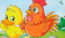 小鸡和小鸭的故事（四）_400字