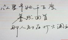 梦里寻她千百度，黯然回首，却在灯火阑珊处_800字