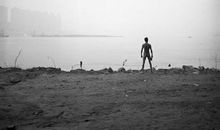 随笔——《伤城》_500字