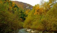 我爱家乡的山水_600字