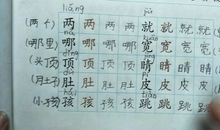 [PK赛]关于我学会了的作文：我学会了抓蝌蚪_500字