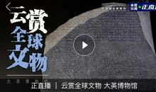 如果人类不是地球的统治者_450字