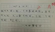 叙写《如梦令》_650字