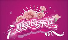 今天，母亲节_600字