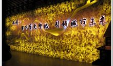 回顾昨天·思·展望明天_800字