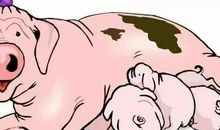 三只小猫闯天下（三）_350字