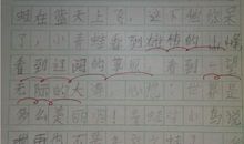 关于细节的作文：细节真美_500字