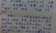 初三作文：彩色的心_500字