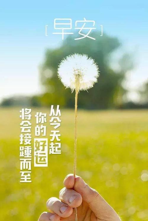 [2016年新年的愿望]跑_1000字