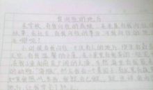 关于心愿的作文：我的心愿_800字