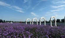 伊甸园里的快乐_550字