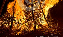 高一叙事散文：绽放的水花，燃烧的生命_450字