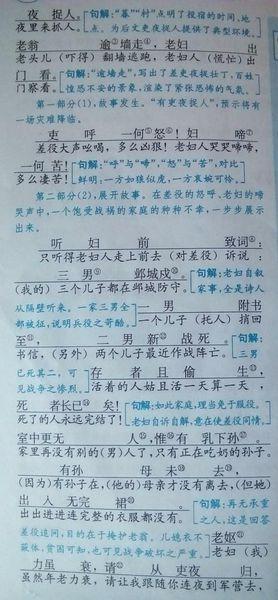 石君（渲染）_600字