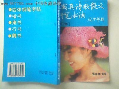 高尺寸散文：有趣_400字