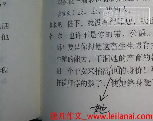 [微社社会]父亲爱，没有言语_100字