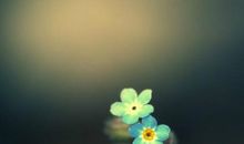 细节绽放美丽_750字