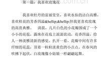 细节凸显美丽_500字